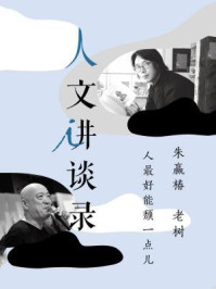 人最好能颓一点儿(理想国人文讲谈录)