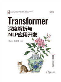 Transformer深度解析与NLP应用开发