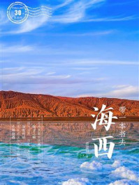 带一本书去海西