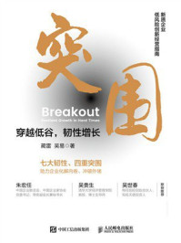 突围:穿越低谷,韧性增长