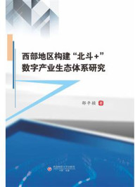 西部地区构建“北斗＋”数字产业生态体系研究