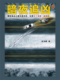 暗夜追凶
