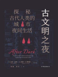 古文明之夜:探秘古代人类的城市夜间生活