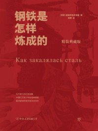 钢铁是怎样炼成的