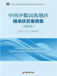 中国少数民族地区精准扶贫案例集(2019)