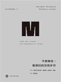不敢懈怠:曼德拉的总统岁月(理想国译丛34)