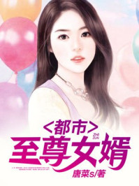 都市至尊女婿