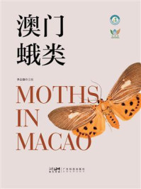 澳门蛾类