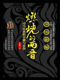 燃烧的两晋:司马家族的荣耀与衰微