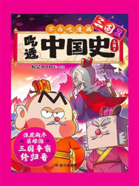 吃透中国史：三国2