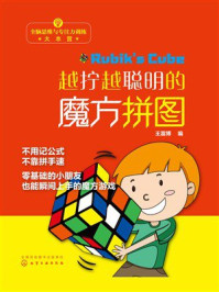 越拧越聪明的魔方拼图