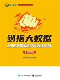 剑指大数据：企业级数据仓库项目实战（金融租赁版）