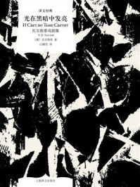 光在黑暗中发亮(译文经典)