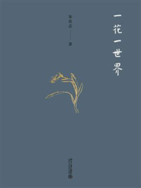 一花一世界