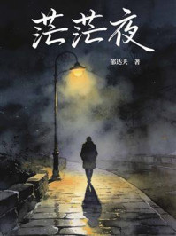 茫茫夜