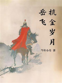 岳飞：抗金岁月
