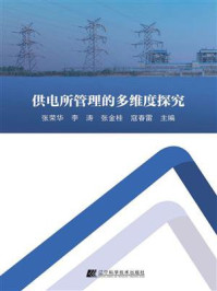 供电所管理的多维度探究