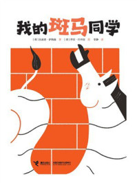 我的斑马同学