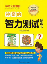 神奇的智力测试游戏书