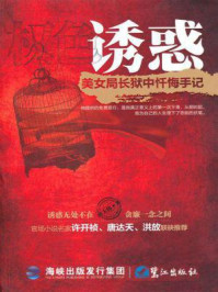 诱惑:美女局长狱中忏悔手记