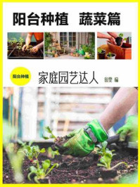 阳台种植:蔬菜篇