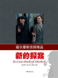 新的探案