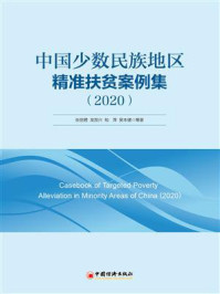 中国少数民族地区精准扶贫案例集（2020）