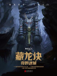 藏龙诀:夜郎迷城