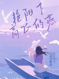 艳阳下高飞的燕