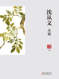 沈从文小说