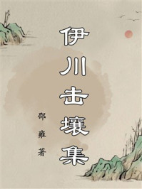 伊川击壤集
