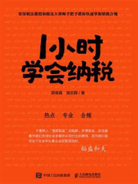 1小时学会纳税