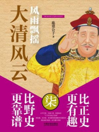 大清风云7:风雨飘摇