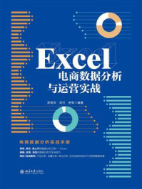 Excel电商数据分析与运营实战