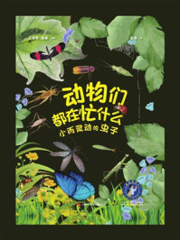 动物们都在忙什么:小而灵动的虫子