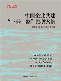 中国企业共建“一带一路”典型案例（共建“一带一路”高质量发展丛书）