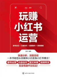 玩赚小红书运营：账号定位+文案创作+视频制作+营销策略