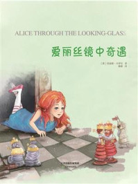 爱丽丝镜中奇遇