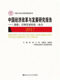 中国经济改革与发展研究报告（2017）——创新：引领发展的第一动力（中国人民大学研究报告系列)