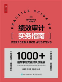 绩效审计实务指南