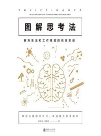 图解思考法：解决生活和工作难题的高级思维
