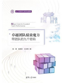 卓越团队绩效魔方:带团队的九个密码