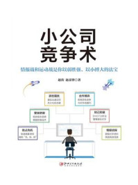 小公司竞争术