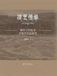 技艺传承—澜沧江的盐业与地方社会研究