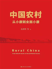 中国农村：从小康到全面小康