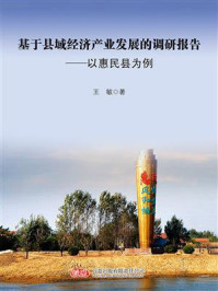 基于县域经济产业发展的调研报告:以惠民县为例