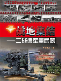 战地集结：二战德军重武器