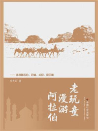 老玩童漫游阿拉伯