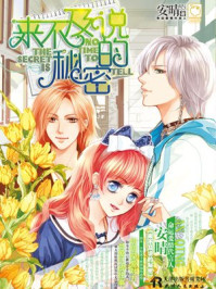 来不及说的秘密