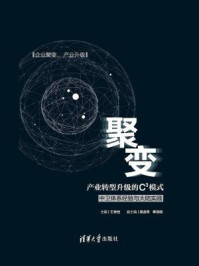 聚变:产业转型升级的C3模式:中卫体系经验与大陆实践